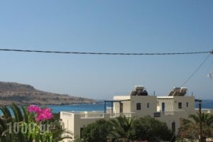 Lefkosia Studios_best prices_in_Hotel_Dodekanessos Islands_Karpathos_Karpathosora