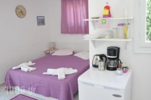 Pension Paros Anna Spanou_holidays_in_Hotel_Cyclades Islands_Paros_Paros Chora