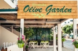 Elounda Olive Garden Apts & Studios in Kalythies, Rhodes, Dodekanessos Islands