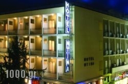 Hotel Ntinas in Trikala City, Trikala, Thessaly