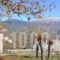 Artsistas Houses_holidays_in_Hotel_Epirus_Ioannina_Aristi