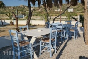 Kalamouria Studios_best deals_Hotel_Cyclades Islands_Naxos_Naxos chora