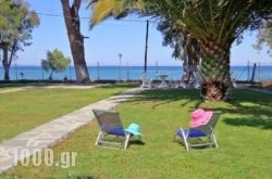 Garden View Apartments in Alyki, Paros, Cyclades Islands