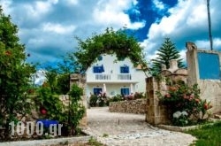 Dreams Beach Apartments Katelios in Antiparos Rest Areas, Antiparos, Cyclades Islands