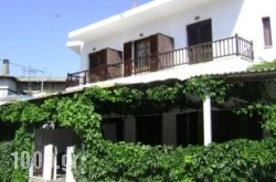 Nikoletta Guesthouse in Edipsos, Evia, Central Greece