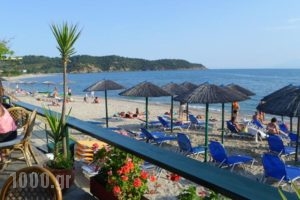 Piatsa Michalis_holidays_in_Hotel_Aegean Islands_Thasos_Potos