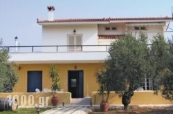 Apartment Candia-Nafplion – 02 in  Agios Ioannis , Tinos, Cyclades Islands