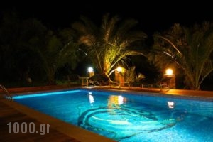 Villa Domenico_lowest prices_in_Villa_Crete_Chania_Sfakia