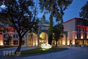 Mitsis Grand Serai Congress And Spa_holidays_in_Hotel_Epirus_Ioannina_Ioannina City