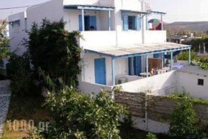 Amalia_accommodation_in_Room_Cyclades Islands_Serifos_Livadi