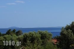 Sunny Apartments Halkidiki in Athens, Attica, Central Greece