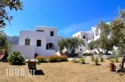 Faneromeni Apartments & Rooms in Antiparos Chora, Antiparos, Cyclades Islands