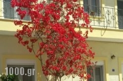Old town apartment in Athens, Attica, Central Greece