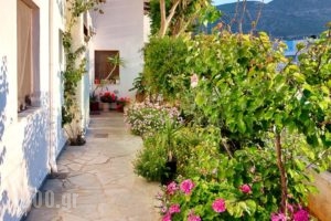 Kostas Apartments_lowest prices_in_Apartment_Crete_Heraklion_Stalida