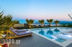 Niolos Villa in Poros Rest Areas, Poros, Piraeus Islands - Trizonia