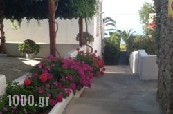 Evaggelia Studios & Apartments in Ammoudara, Heraklion, Crete
