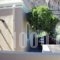 Rigo Apartments_lowest prices_in_Apartment_Dodekanessos Islands_Karpathos_Karpathosst Areas