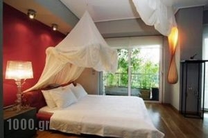Ninas Athenian Loft_travel_packages_in_Central Greece_Attica_Athens