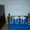 Olympia's House_holidays_in_Room_Ionian Islands_Ithaki_Ithaki Rest Areas