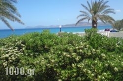 Hotel Petras Beach in Pilio Area, Magnesia, Thessaly