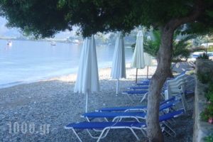 Georgiou Rooms & Apartments_best prices_in_Apartment_Central Greece_Evia_Rovies