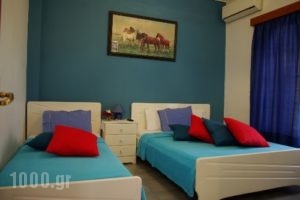 Glyka Apartments_best prices_in_Apartment_Central Greece_Aetoloakarnania_Kryoneri