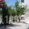 Hotel Apollon_holidays_in_Hotel_Central Greece_Aetoloakarnania_Mesologgi